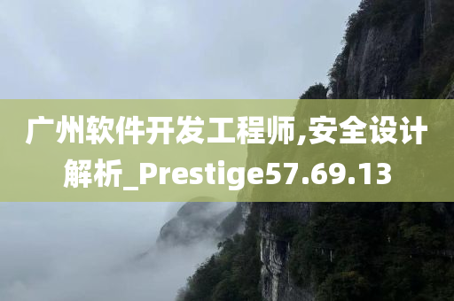 广州软件开发工程师,安全设计解析_Prestige57.69.13