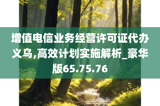 增值电信业务经营许可证代办义乌,高效计划实施解析_豪华版65.75.76