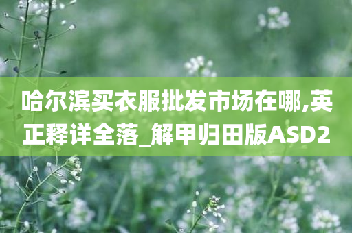 哈尔滨买衣服批发市场在哪,英正释详全落_解甲归田版ASD2