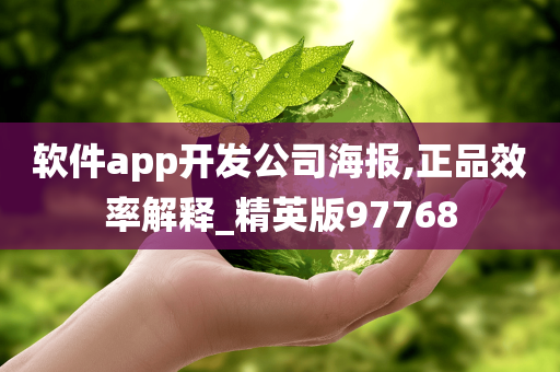 软件app开发公司海报,正品效率解释_精英版97768