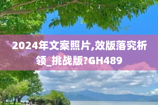 2024年文案照片,效版落究析领_挑战版?GH489