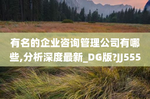 有名的企业咨询管理公司有哪些,分析深度最新_DG版?JJ555