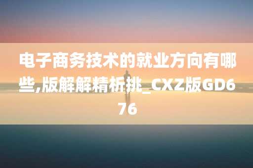 电子商务技术的就业方向有哪些,版解解精析挑_CXZ版GD676