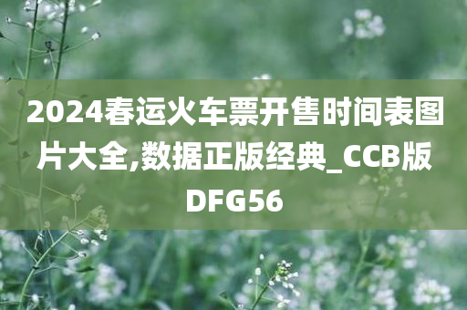 2024春运火车票开售时间表图片大全,数据正版经典_CCB版DFG56