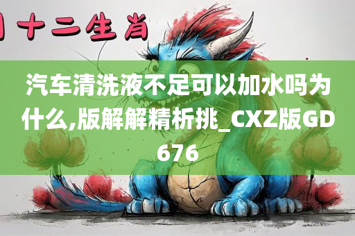 汽车清洗液不足可以加水吗为什么,版解解精析挑_CXZ版GD676