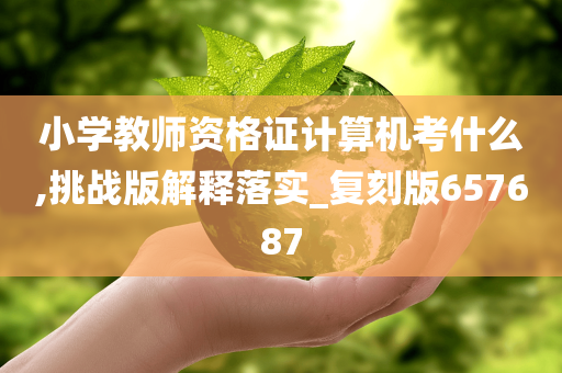 小学教师资格证计算机考什么,挑战版解释落实_复刻版657687