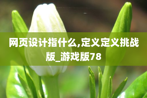 网页设计指什么,定义定义挑战版_游戏版78