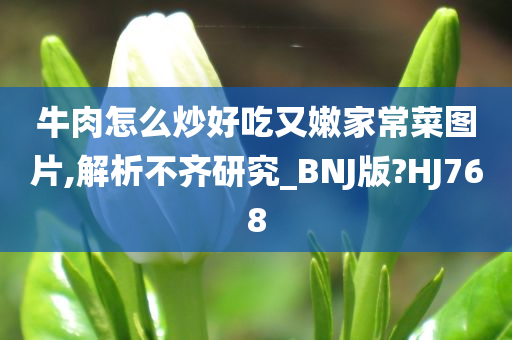 牛肉怎么炒好吃又嫩家常菜图片,解析不齐研究_BNJ版?HJ768