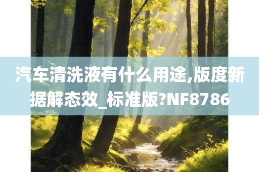 汽车清洗液有什么用途,版度新据解态效_标准版?NF8786