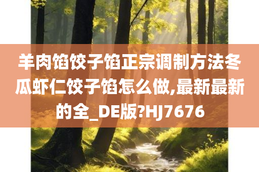 羊肉馅饺子馅正宗调制方法冬瓜虾仁饺子馅怎么做,最新最新的全_DE版?HJ7676