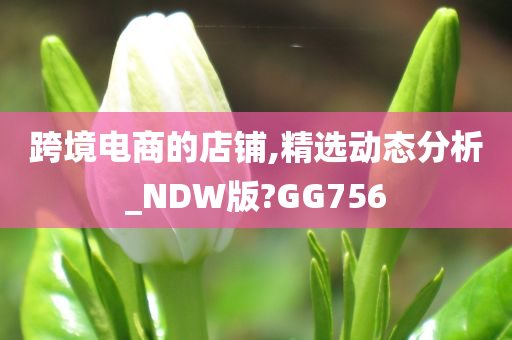 跨境电商的店铺,精选动态分析_NDW版?GG756