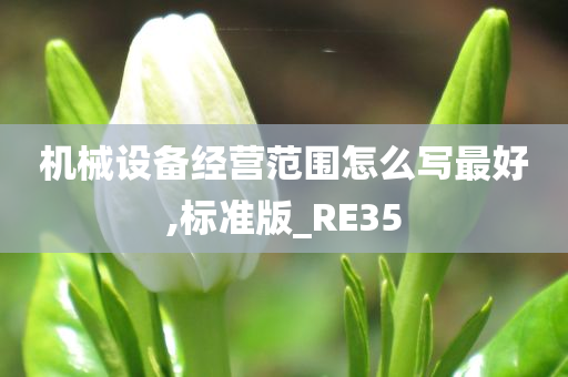 机械设备经营范围怎么写最好,标准版_RE35