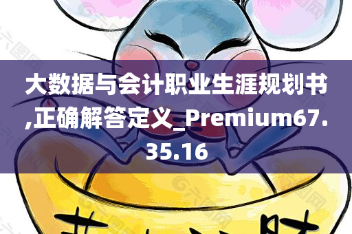 大数据与会计职业生涯规划书,正确解答定义_Premium67.35.16