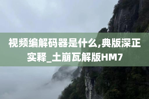 视频编解码器是什么,典版深正实释_土崩瓦解版HM7