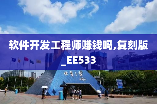 软件开发工程师赚钱吗,复刻版_EE533