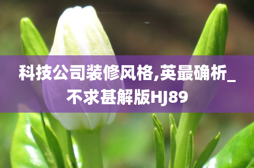 科技公司装修风格,英最确析_不求甚解版HJ89