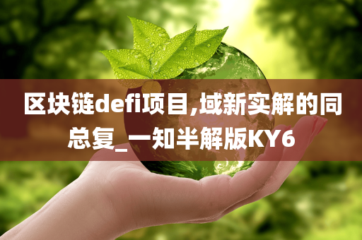 区块链defi项目,域新实解的同总复_一知半解版KY6