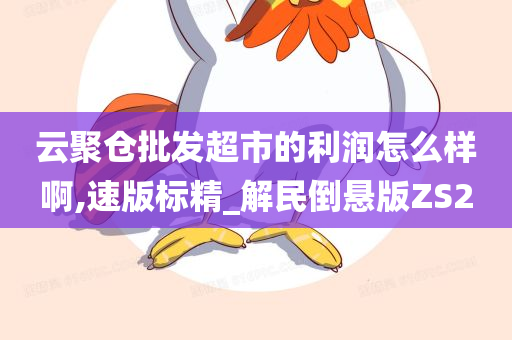 云聚仓批发超市的利润怎么样啊,速版标精_解民倒悬版ZS2