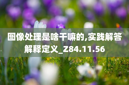 图像处理是啥干嘛的,实践解答解释定义_Z84.11.56