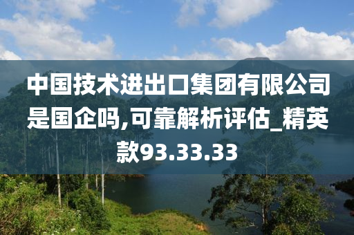 中国技术进出口集团有限公司是国企吗,可靠解析评估_精英款93.33.33