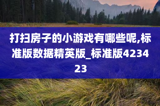 打扫房子的小游戏有哪些呢,标准版数据精英版_标准版423423