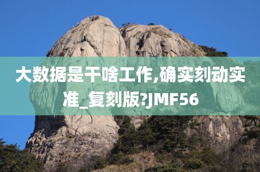 大数据是干啥工作,确实刻动实准_复刻版?JMF56