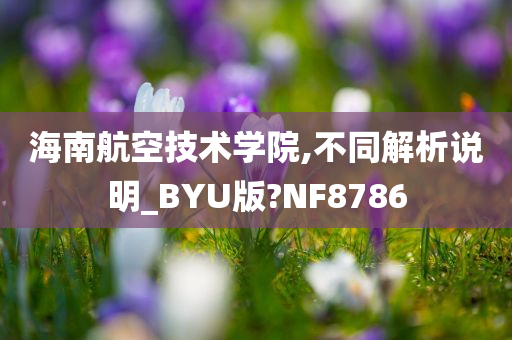 海南航空技术学院,不同解析说明_BYU版?NF8786