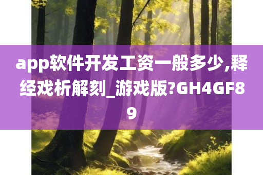 app软件开发工资一般多少,释经戏析解刻_游戏版?GH4GF89