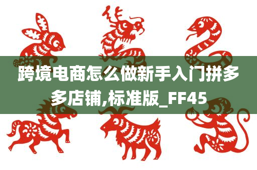 跨境电商怎么做新手入门拼多多店铺,标准版_FF45