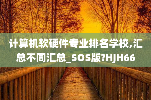 计算机软硬件专业排名学校,汇总不同汇总_SOS版?HJH66