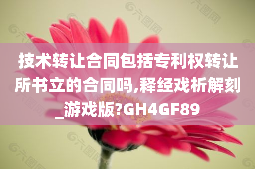 技术转让合同包括专利权转让所书立的合同吗,释经戏析解刻_游戏版?GH4GF89