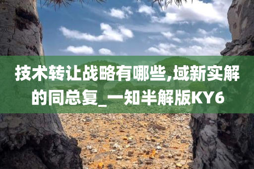 技术转让战略有哪些,域新实解的同总复_一知半解版KY6