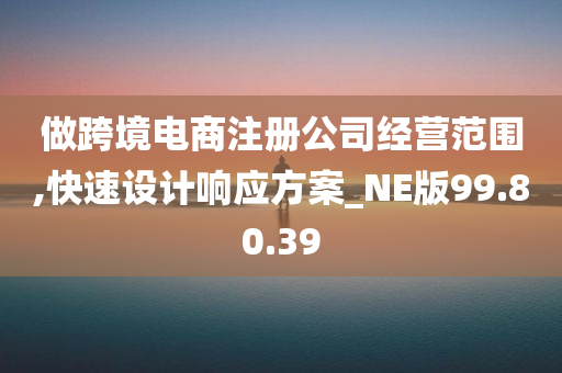 做跨境电商注册公司经营范围,快速设计响应方案_NE版99.80.39