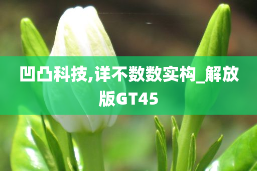 凹凸科技,详不数数实构_解放版GT45