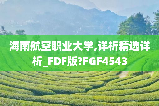 海南航空职业大学,详析精选详析_FDF版?FGF4543