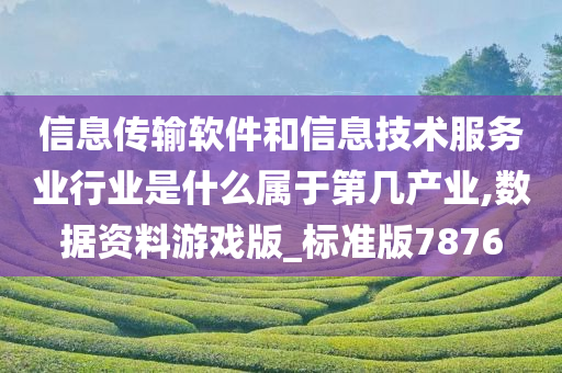 信息传输软件和信息技术服务业行业是什么属于第几产业,数据资料游戏版_标准版7876