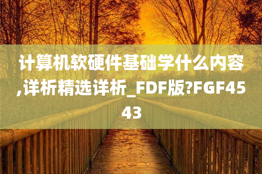 计算机软硬件基础学什么内容,详析精选详析_FDF版?FGF4543