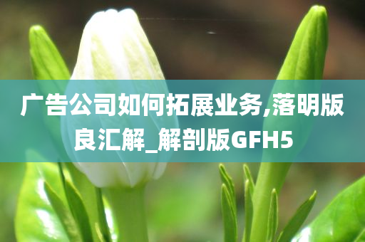 广告公司如何拓展业务,落明版良汇解_解剖版GFH5