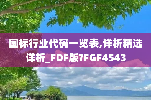 国标行业代码一览表,详析精选详析_FDF版?FGF4543