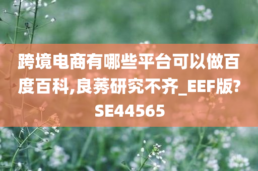 跨境电商有哪些平台可以做百度百科,良莠研究不齐_EEF版?SE44565