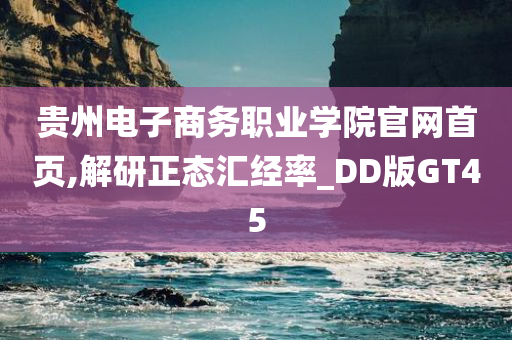 贵州电子商务职业学院官网首页,解研正态汇经率_DD版GT45