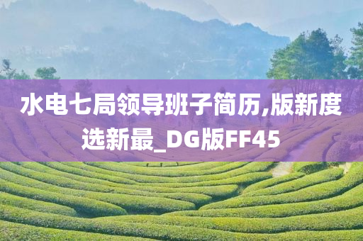 水电七局领导班子简历,版新度选新最_DG版FF45