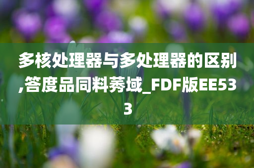 多核处理器与多处理器的区别,答度品同料莠域_FDF版EE533