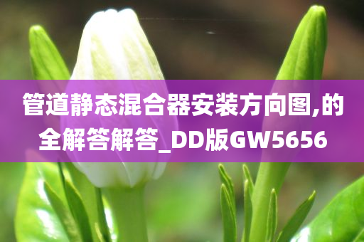 管道静态混合器安装方向图,的全解答解答_DD版GW5656