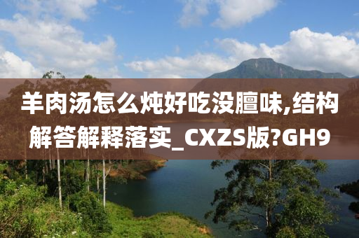 羊肉汤怎么炖好吃没膻味,结构解答解释落实_CXZS版?GH9