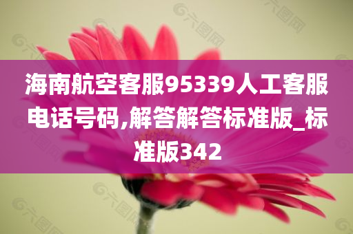 海南航空客服95339人工客服电话号码,解答解答标准版_标准版342