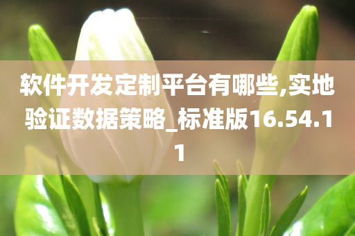 软件开发定制平台有哪些,实地验证数据策略_标准版16.54.11