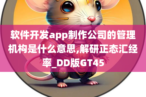 软件开发app制作公司的管理机构是什么意思,解研正态汇经率_DD版GT45