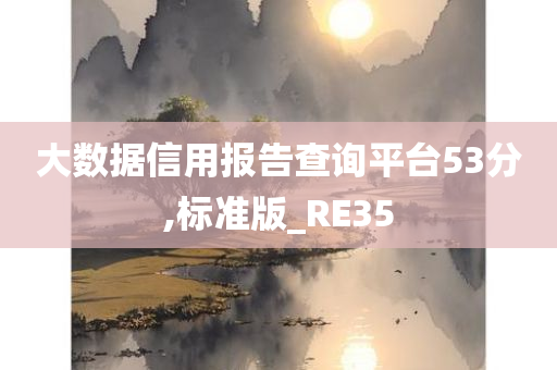 大数据信用报告查询平台53分,标准版_RE35