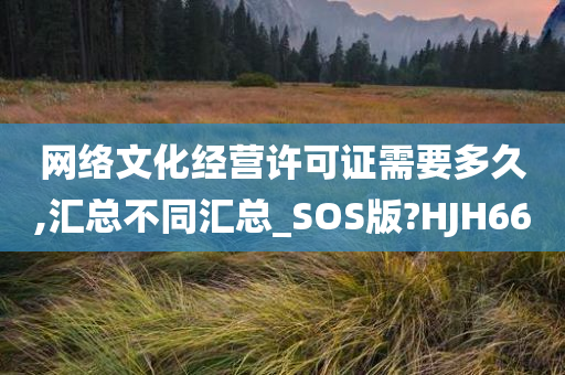 网络文化经营许可证需要多久,汇总不同汇总_SOS版?HJH66